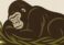 Gorilla Nests Safaris