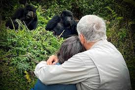 Gorilla Permit Availability