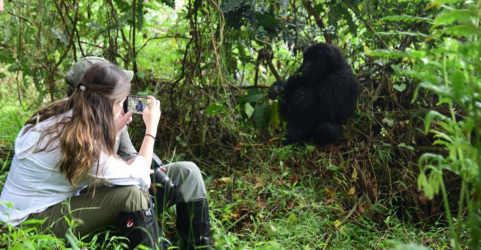 3 Days Uganda Gorilla Safari