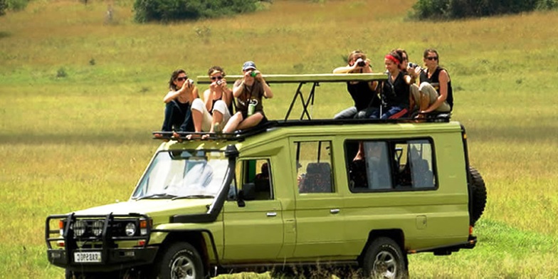 Game drives in Murchison Falls 