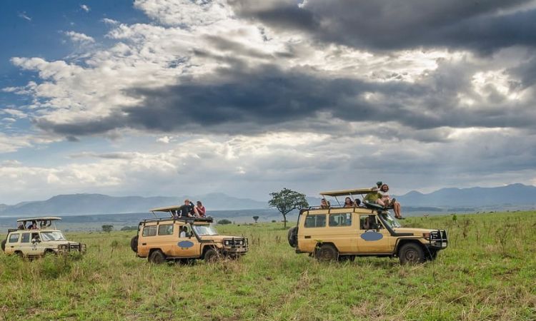7 Days Uganda Wildlife Safari