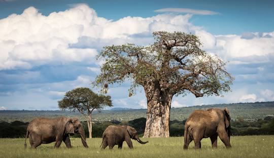 2 Days Tanzania Safari