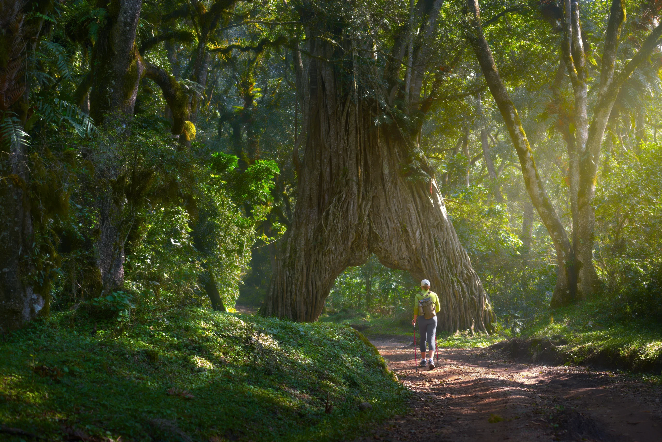  Attractions in Arusha National Park