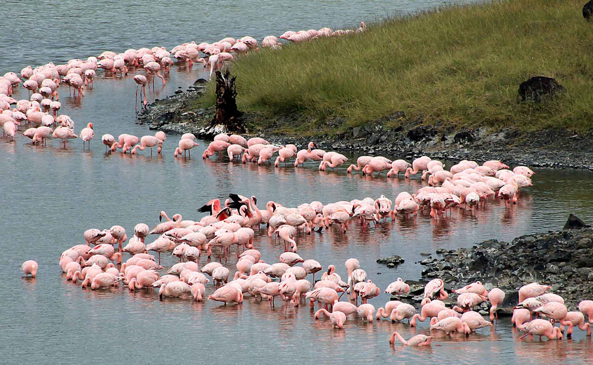 Attractions in Arusha National Park
