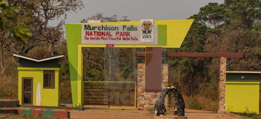 2 Days Murchison Falls Safari