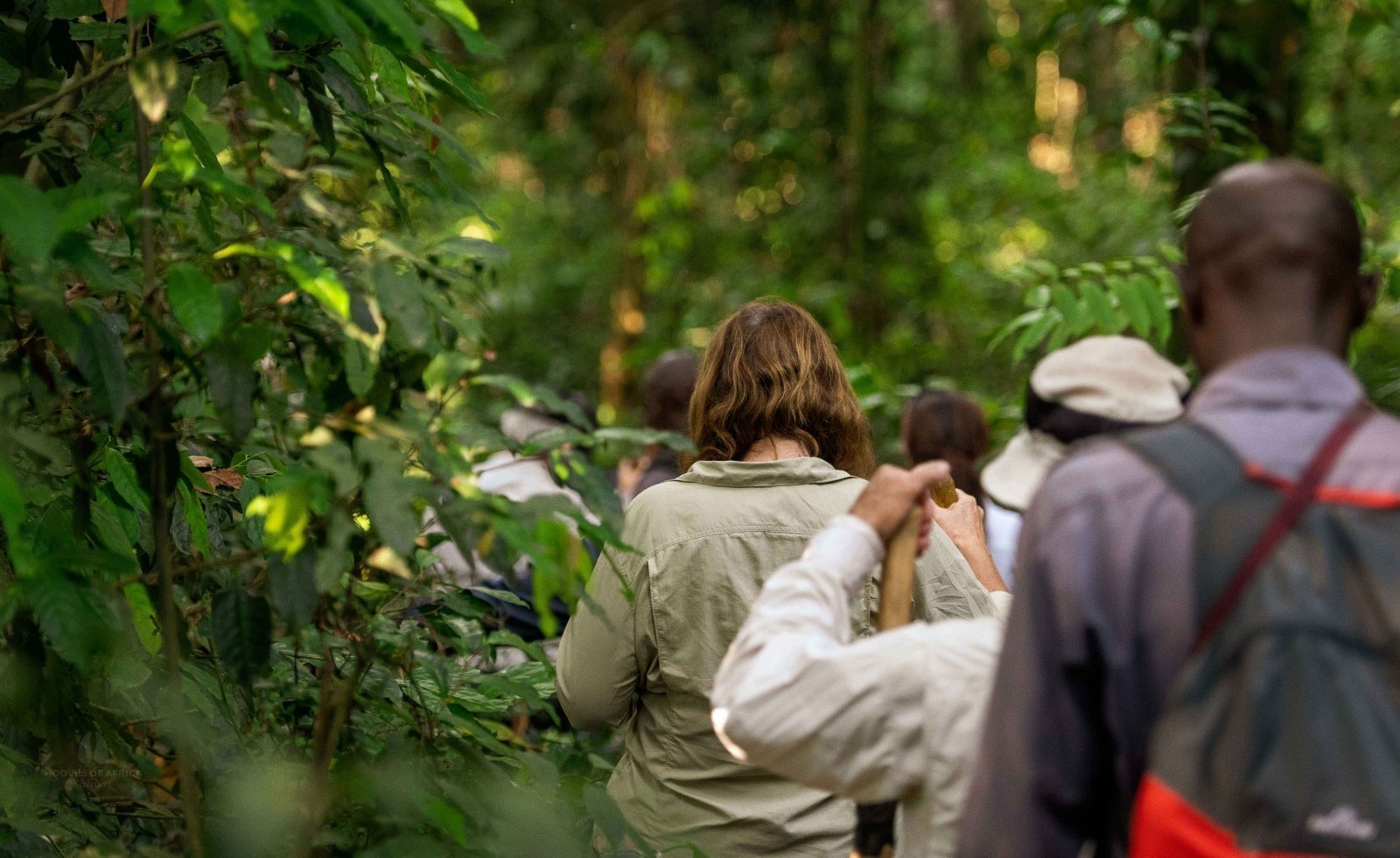 2 Days Uganda Gorilla Safari