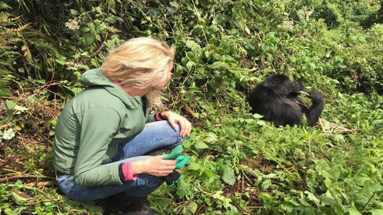 4 Days Uganda Gorilla Safari