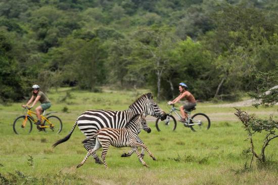 Cycling Safaris in Lake Mburo