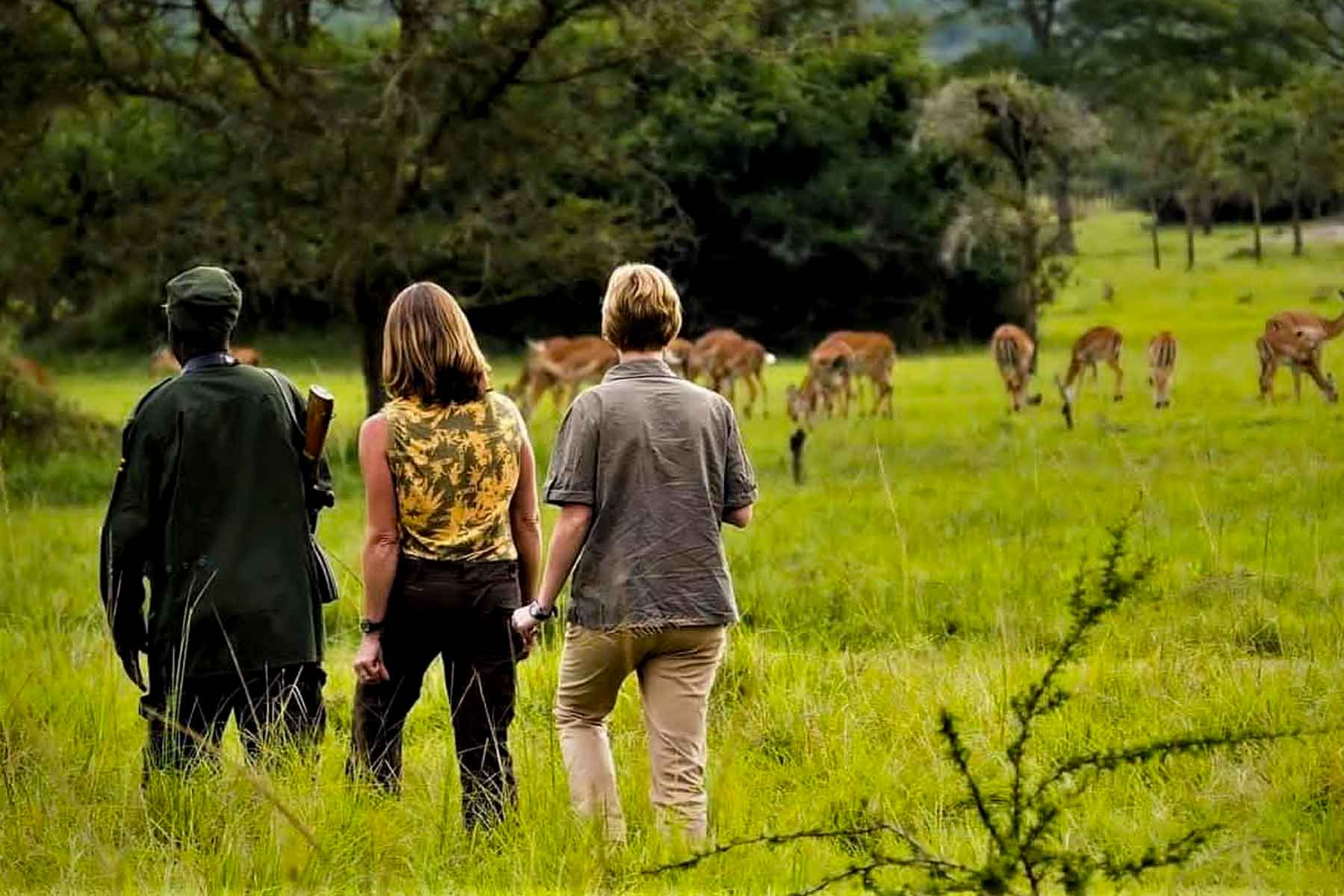 Nature Walks in Lake Mburo