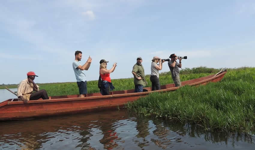 Birding in Uganda