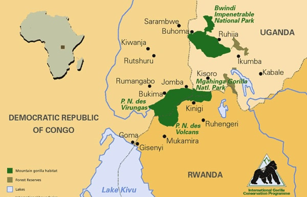 Map showing silverback gorilla habitats in Uganda, Rwanda, and Congo
