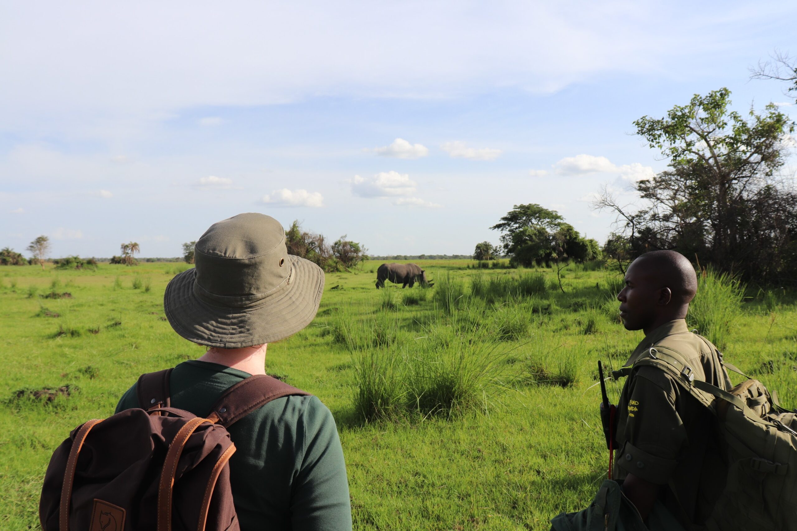 1 Day Rhino Tracking Safari