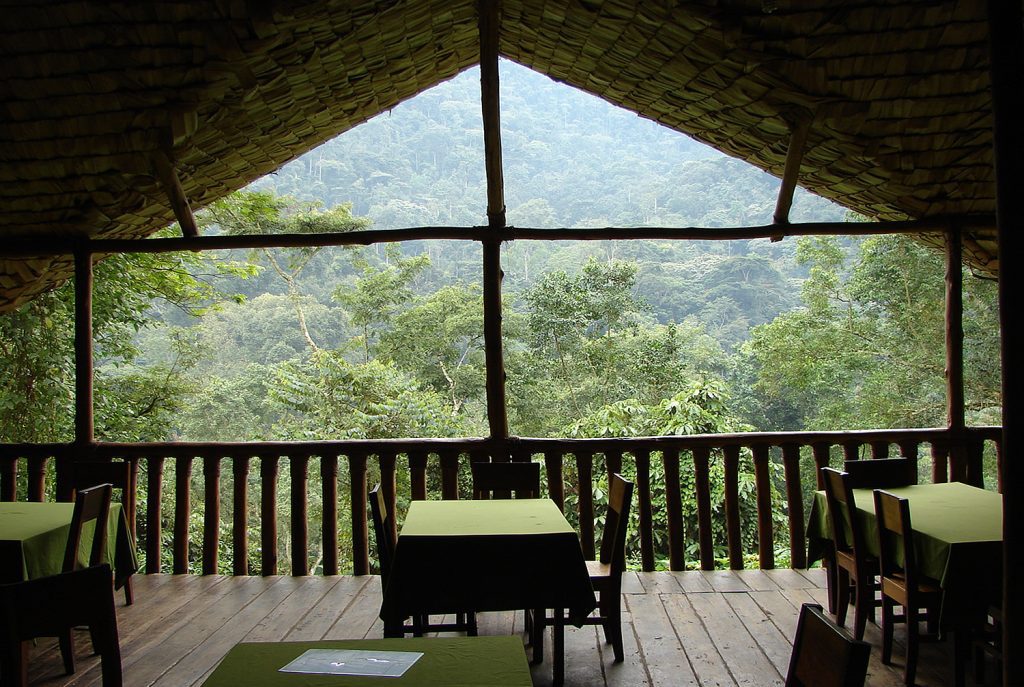 Best Safari Lodges in Uganda