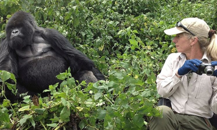 Gorilla Safaris in Uganda