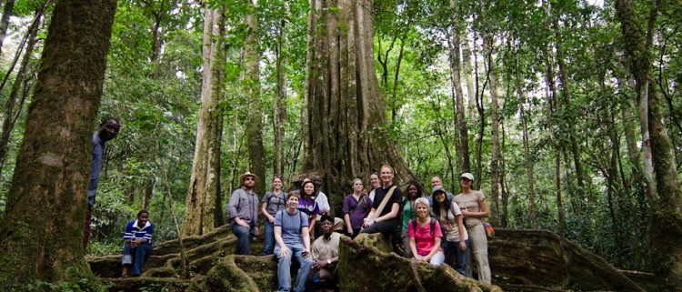Kakamega Forest