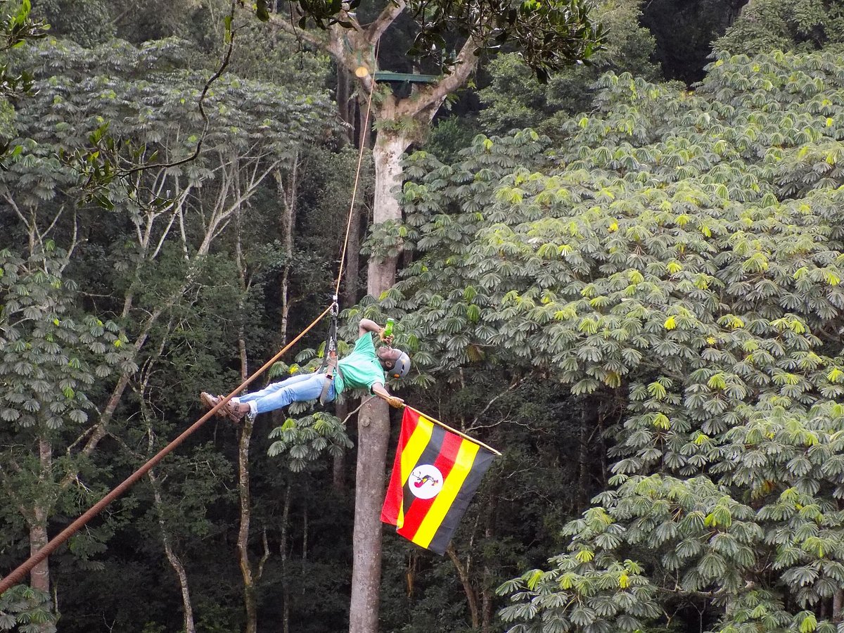 Zip Lining Jinja