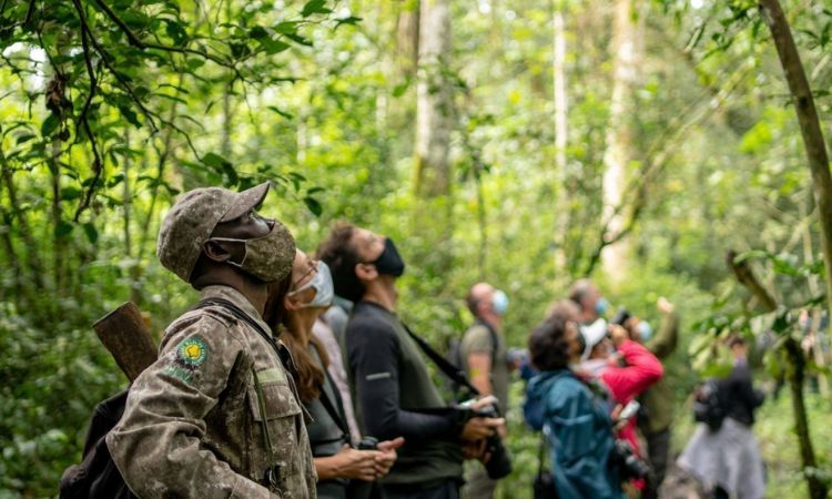 10 Days Uganda Luxury Safari