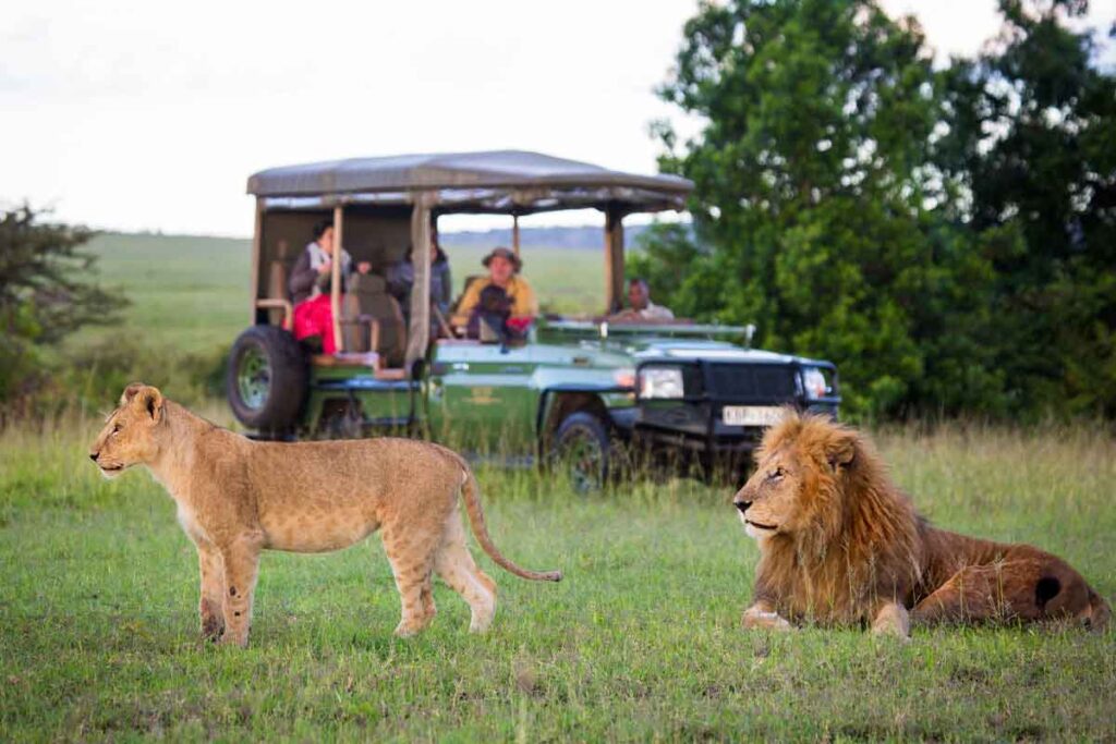 How much does a private safari cost in Kenya