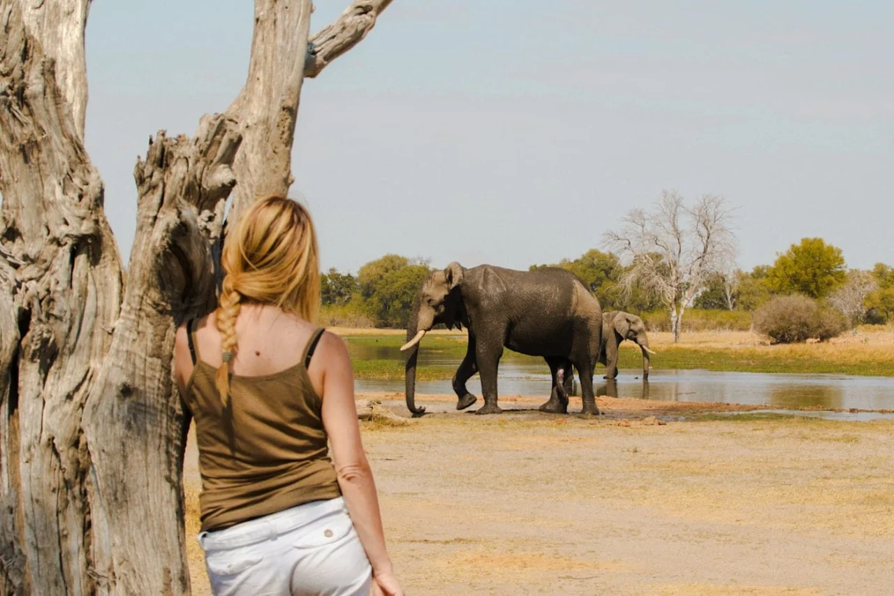 African Safari Vacation Packages
