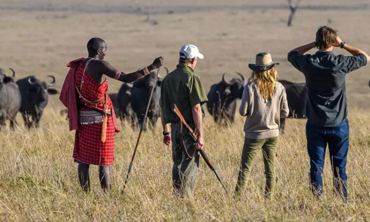 How much does a private safari cost in Kenya