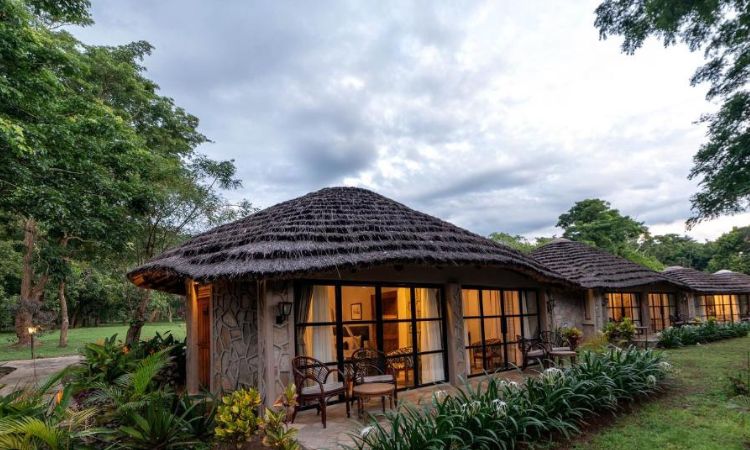 Murchison Falls National Park Accommodation: Best Lodges & Camps Murchison Falls National Park Accommodation: Murchison Falls National Park, Uganda's largest and oldest protected area, offers incredible wildlife experiences along the dramatic Nile River. For visitors planning a safari here, choosing the right Murchison Falls National Park accommodation is key to an unforgettable trip. This guide covers all options—from luxury lodges with Nile views and top amenities to mid-range safari camps and budget-friendly campsites—helping you find the perfect lodges in Murchison Falls National Park, Murchison Falls safari lodges, places to stay in Murchison Falls, or Murchison Falls camps and hotels to suit your style and budget. Where to Stay in Murchison Falls National Park Accommodation in Murchison Falls is divided by location, primarily along the north and south banks of the Nile River, with the park split by the river at Paraa. The North Bank (including areas near Pakwach and the Albert Nile) often features quieter, more remote spots with excellent access to the delta for birdwatching and boat safaris. The South Bank (near Paraa and the Victoria Nile) provides closer proximity to the iconic Murchison Falls viewpoint, top game drive routes, and the ferry crossing. Staying inside the park means immediate access to wildlife—hear hippos grunting at night or spot elephants from your veranda—while outside the park (near Masindi or Pakwach) saves on park fees and offers more budget options, though it requires daily drives in. Proximity to game drive routes and the Nile is crucial: lodges near Paraa or the delta excel for boat trips and wildlife density. Luxury Lodges in Murchison Falls National Park For those seeking indulgence, luxury options deliver stunning Nile views, gourmet dining, spas, and personalized service. Paraa Safari Lodge — Located inside the park on the North Bank at Paraa, this iconic lodge features spacious rooms with balconies overlooking the Nile. Amenities include a pool, spa, fine dining, and guided activities. Ideal for luxury travelers wanting historical charm (rebuilt after original destruction) and prime access to boat safaris and game drives. Nile Safari Lodge — On the South Bank, this exclusive lodge offers just a few private bandas with wooden designs and river views. Key features: infinity pool, gourmet meals, and serene atmosphere. Perfect for couples or those prioritizing privacy and romance amid nature. Chobe Safari Lodge — Positioned on the North Bank near the eastern edge, it blends modern luxury with historical prestige (once visited by dignitaries). Expect elegant rooms, a pool, spa, and panoramic Nile vistas. Great for honeymooners or those wanting upscale comfort with wildlife sightings right from the property. These lodges often include meal plans and activities, making them worth the premium for seamless experiences. Mid-Range Lodges in Murchison Falls Mid-range options balance comfort, value, and safari immersion with en-suite facilities, family-friendly setups, and good locations. Pakuba Safari Lodge — On the eastern bank of the Albert Nile (North Bank), this popular spot offers comfortable rooms, a pool, and easy access to Paraa Ferry and delta areas. It's family-friendly with excellent cuisine and wildlife views—ideal for value-conscious travelers seeking quality without excess. Murchison River Lodge — South Bank location with panoramic Nile and park views. Features thatched cottages, safari tents, and camping options. En-suite facilities, friendly service, and peaceful setting make it great for families or those wanting a relaxed base. Twiga Safari Lodge — Near Paraa on the South Bank, it combines safari tents and cottages with riverfront access. Amenities include good meals and proximity to activities—strong for mid-range comfort and convenience. Other notables include Fort Murchison Lodge (blending African architecture with river views) and Bamboo Village Safari Lodge for solid value. Budget Accommodation in Murchison Falls Budget travelers and backpackers find affordable yet authentic options, including campsites and basic lodges. Red Chilli Rest Camp — Popular budget spot with dorms, tents, and bandas. Offers en-suite options, camping, and a lively atmosphere—great for backpackers or groups. Heritage Safari Lodge — Community-focused with basic but comfortable rooms, often outside the park for lower costs. Public campsites inside the park (managed by Uganda Wildlife Authority) provide basic facilities for self-catering or tent setups—perfect for adventurers. Other budget picks: Bar Lyec Safari Lodge or Masindi-area guesthouses for even cheaper stays outside. Accommodation Inside vs Outside the Park Aspect Inside the Park Outside the Park Pros Immediate wildlife access; night sounds; early game drives; immersive experience Lower costs (no daily park fees if not entering); more options; easier access from roads Cons Higher prices; limited choices; park fees apply Daily commutes (30-60+ min); less immersion; potential for missed early sightings Game Viewing Superior—animals often near lodges Good but requires drives Cost Premium ($200–$500+/night) Affordable ($40–$150/night) Access to Activities Direct to trails, boats Transfers needed Inside stays enhance the safari feel, while outside suits budgets or shorter visits. Best Accommodation by Travel Type Honeymooners — Nile Safari Lodge or Chobe Safari Lodge for romance, privacy, and Nile sunsets. Families — Pakuba Safari Lodge or Murchison River Lodge with family rooms and safe, engaging environments. Photographers — Paraa Safari Lodge or North Bank spots for prime golden-hour shots of wildlife and falls. Budget Travelers — Red Chilli Rest Camp or public campsites for affordable immersion. Best Time to Book Accommodation in Murchison Falls Murchison Falls is visitable year-round, but dry seasons excel: December–February and June–September for wildlife concentration around water sources and easier roads. High/peak season (June–September, December–February) sees high demand—book 3–6+ months ahead for popular lodges. Low season (March–May, October–November) offers discounts, fewer crowds, and last-minute availability, though rain can affect roads. Aim for dry months for best game viewing; book early in peak for luxury spots. What’s Included in Murchison Falls Lodges Many lodges offer full-board (meals included), guided game drives, boat safaris to the base of the falls, and sometimes park fees or transfers. Luxury options often include all activities; mid-range may add extras; budget spots focus on basics. Always confirm inclusions—park fees (around $40/person/day) are separate unless bundled. How to Choose the Best Lodge in Murchison Falls Consider budget (luxury $300+, mid $150–300, budget