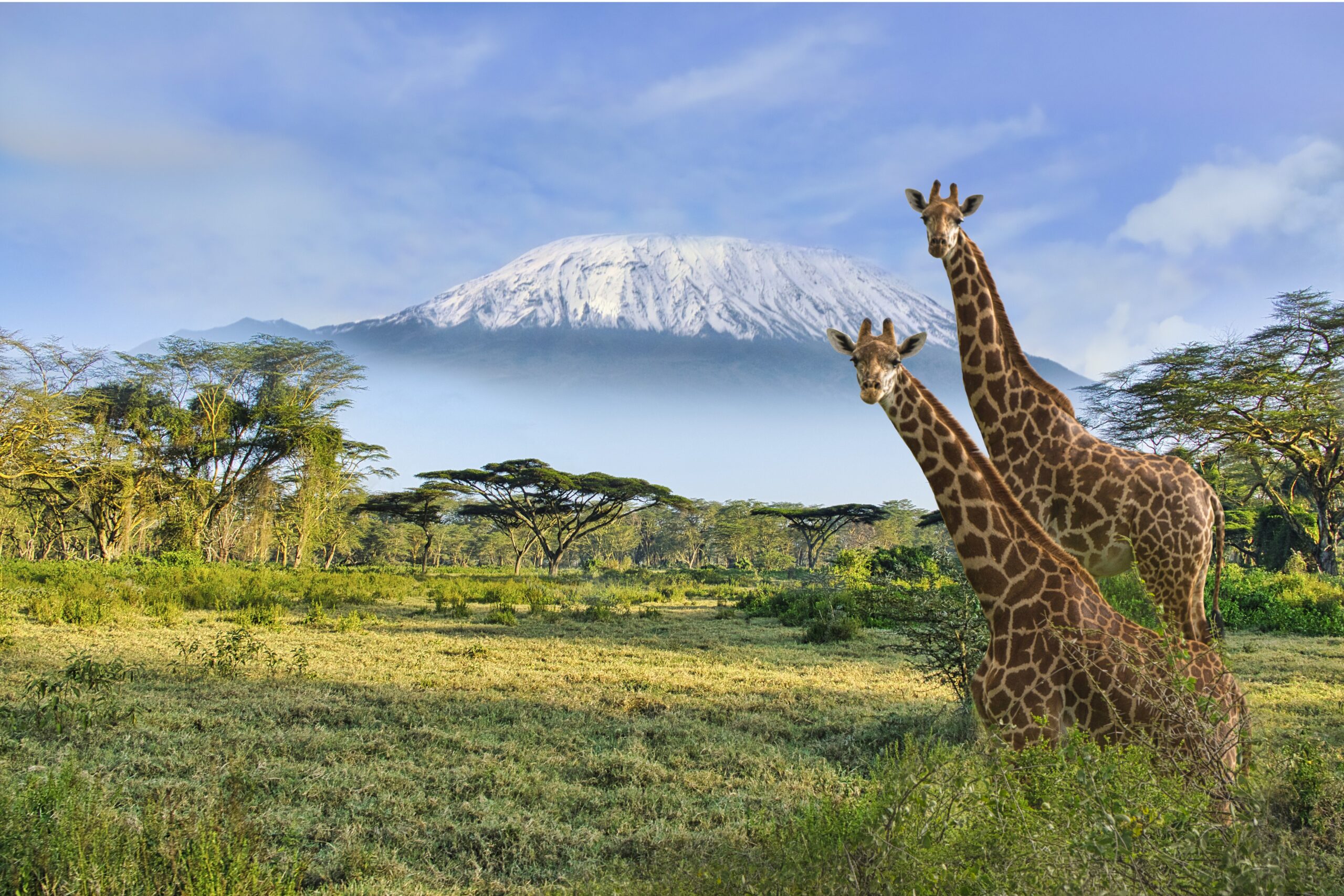 cheap private safari Kenya