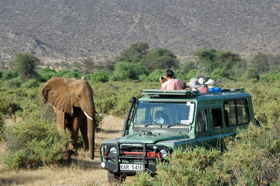 Kenya national parks 