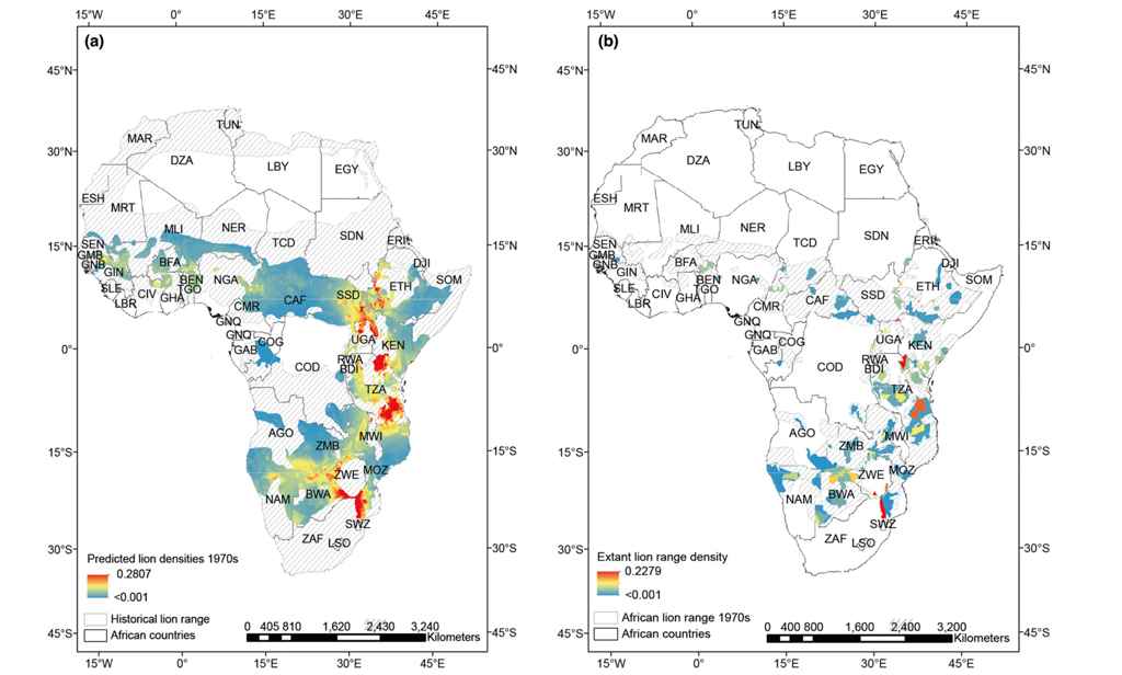 Are lions endangered