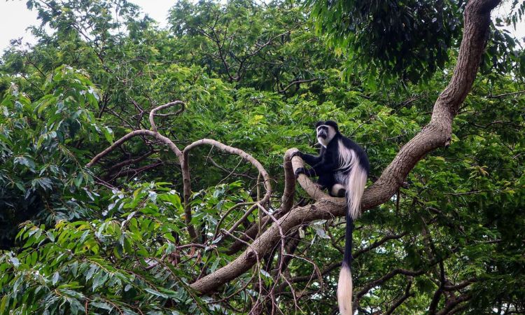 Entebbe tourist attractions