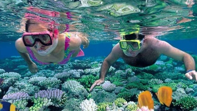 Top Things to Do in Diani Beach