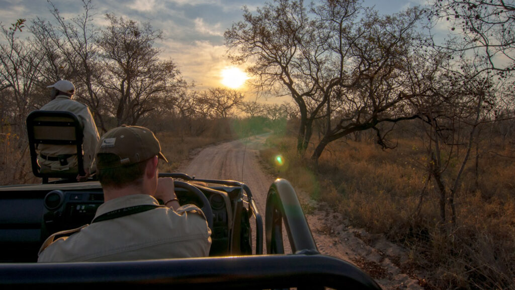 kruger national park