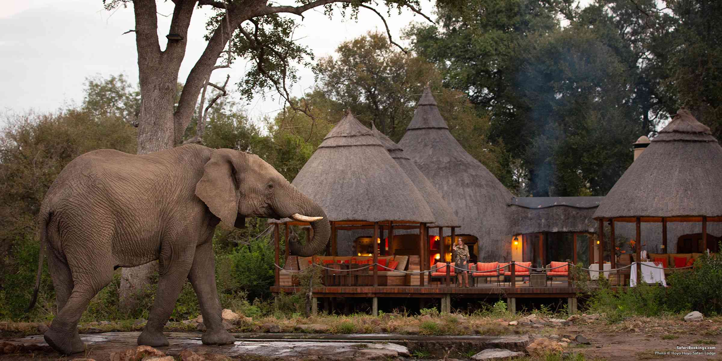 Kruger National Park Accommodation