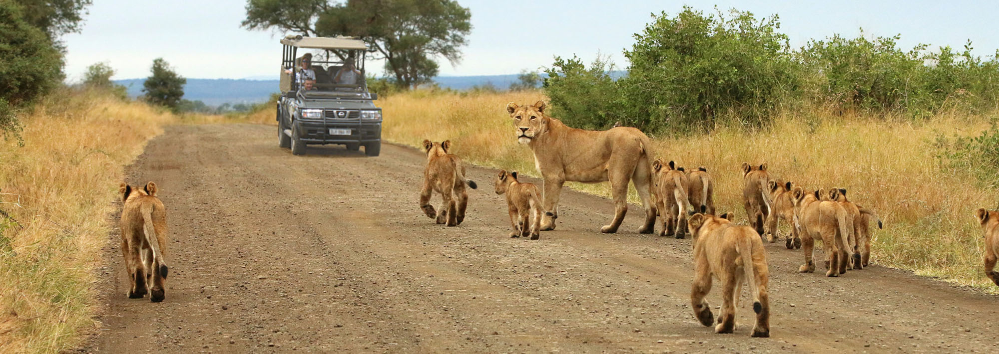 kruger national park tickets