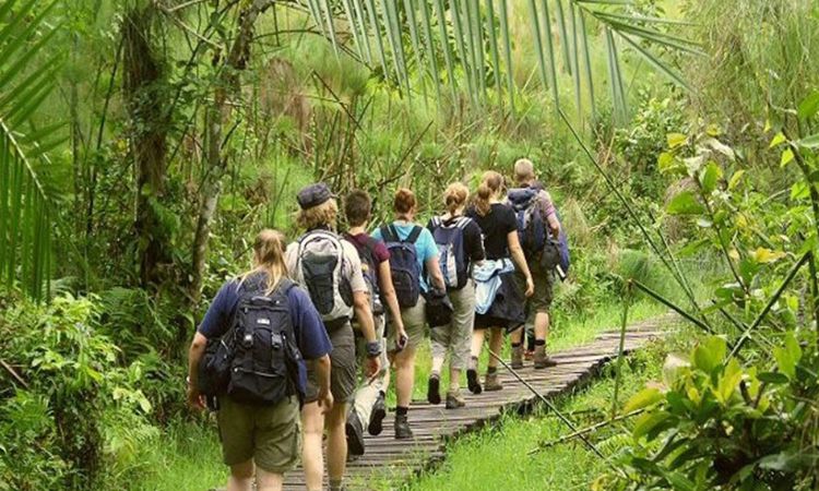 Bigodi Swamp Walk