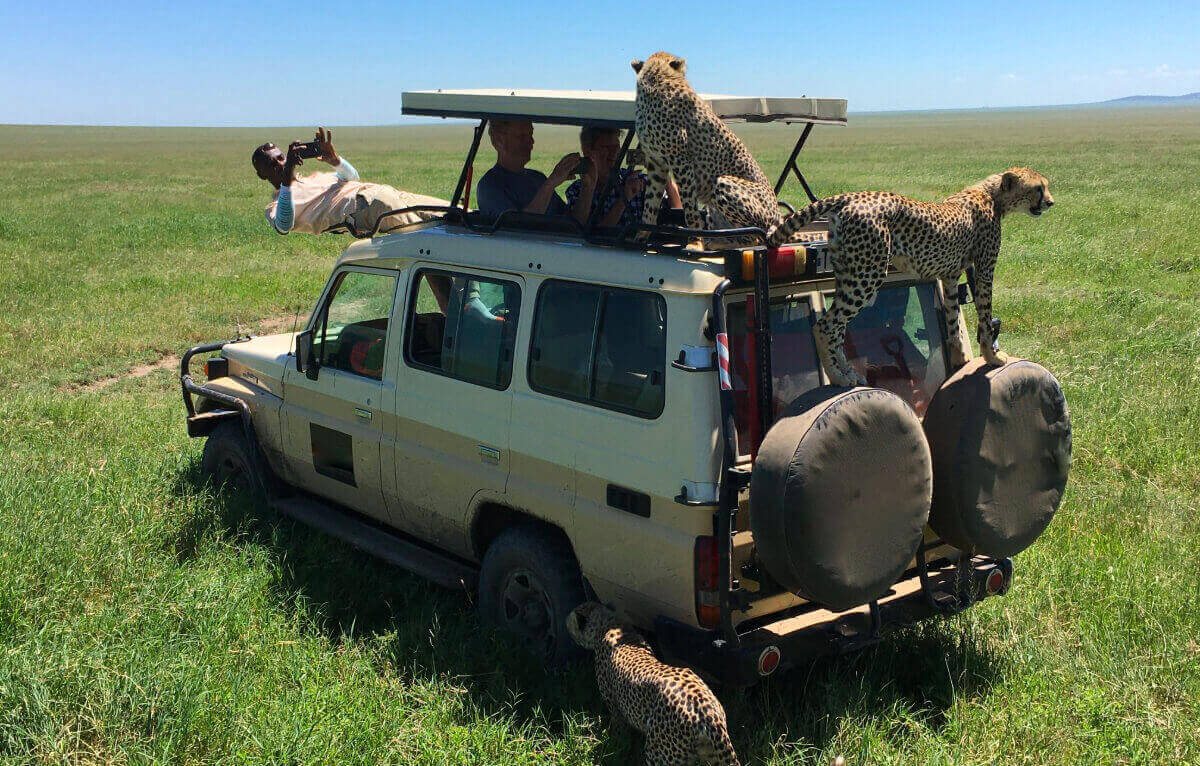 KENYA WILDLIFE SAFARI