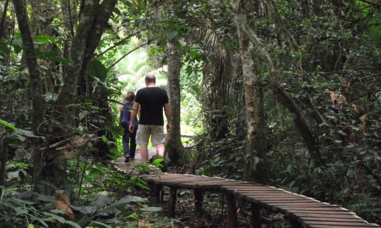 Bigodi Wetland Sanctuary