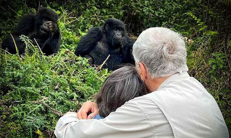Can seniors do gorilla trekking